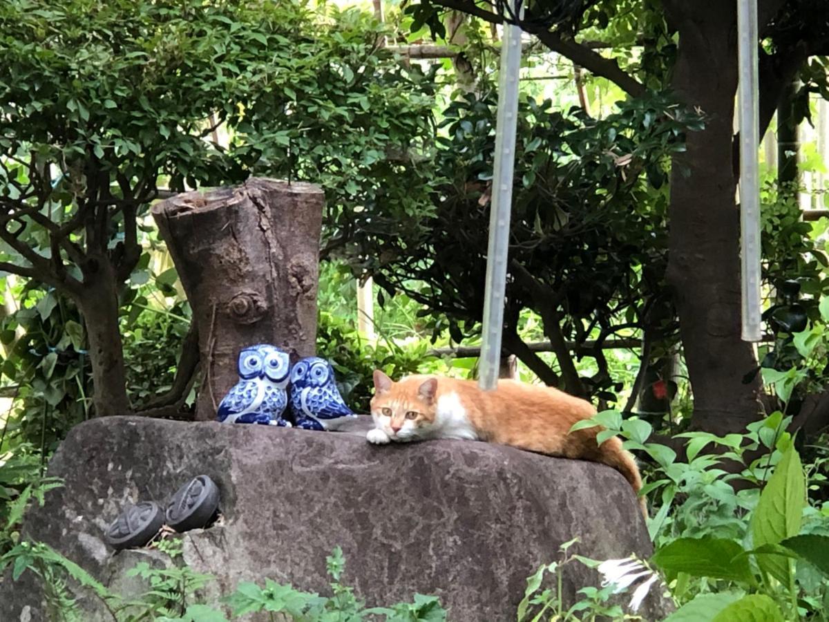 フクロウの御宿 Fuefuki Kültér fotó